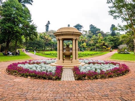 Durban Botanic Gardens: Vihreä paratiisi historiallisen Durbanin sydämessä!