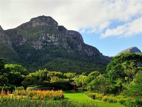 Kirstenbosch kansallispuisto - Etelä-Afrikan luonnon ihme ja kasvien paratiisi!